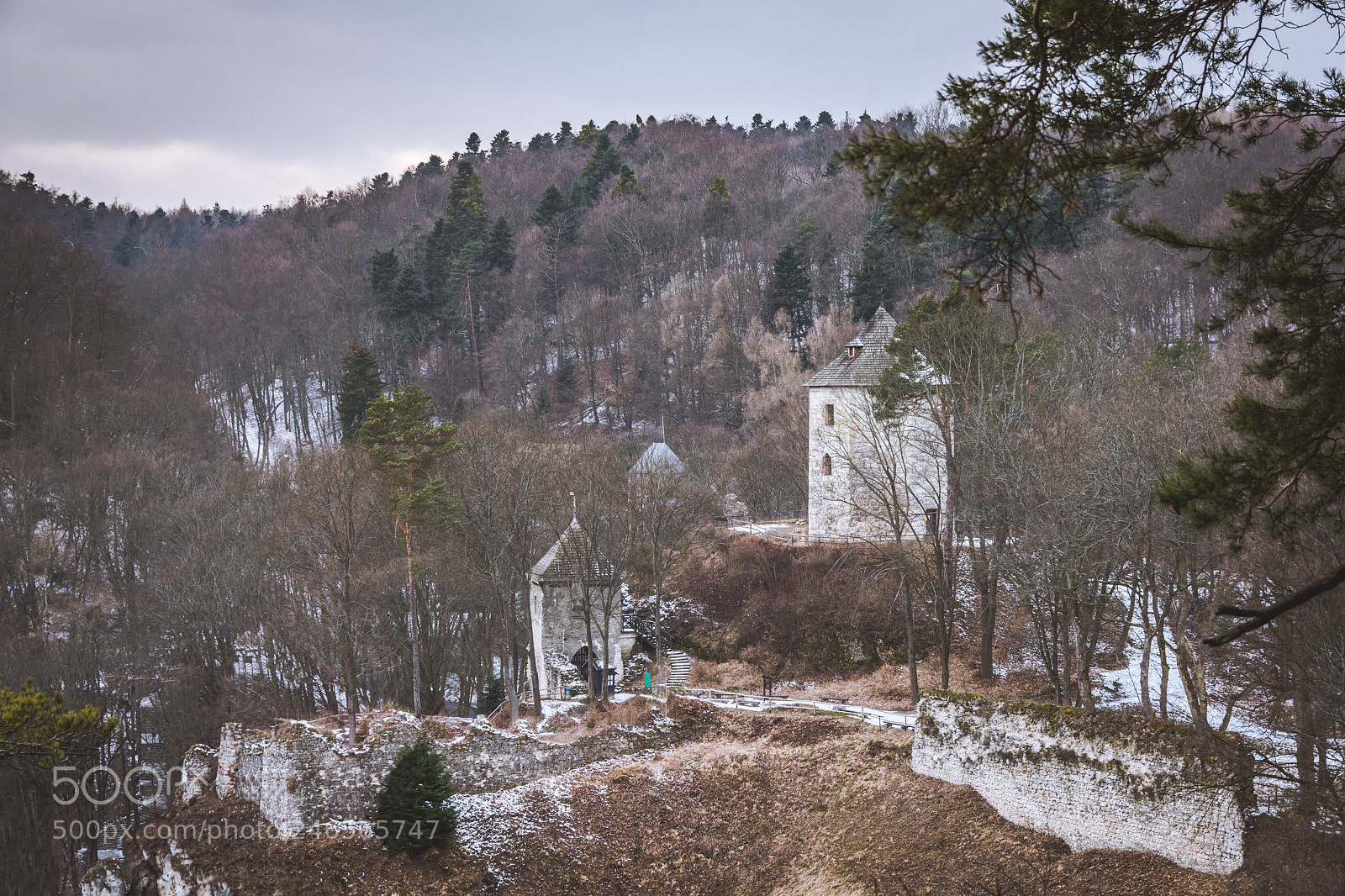 Nikon D7200 sample photo. Zamek w ojcowie photography