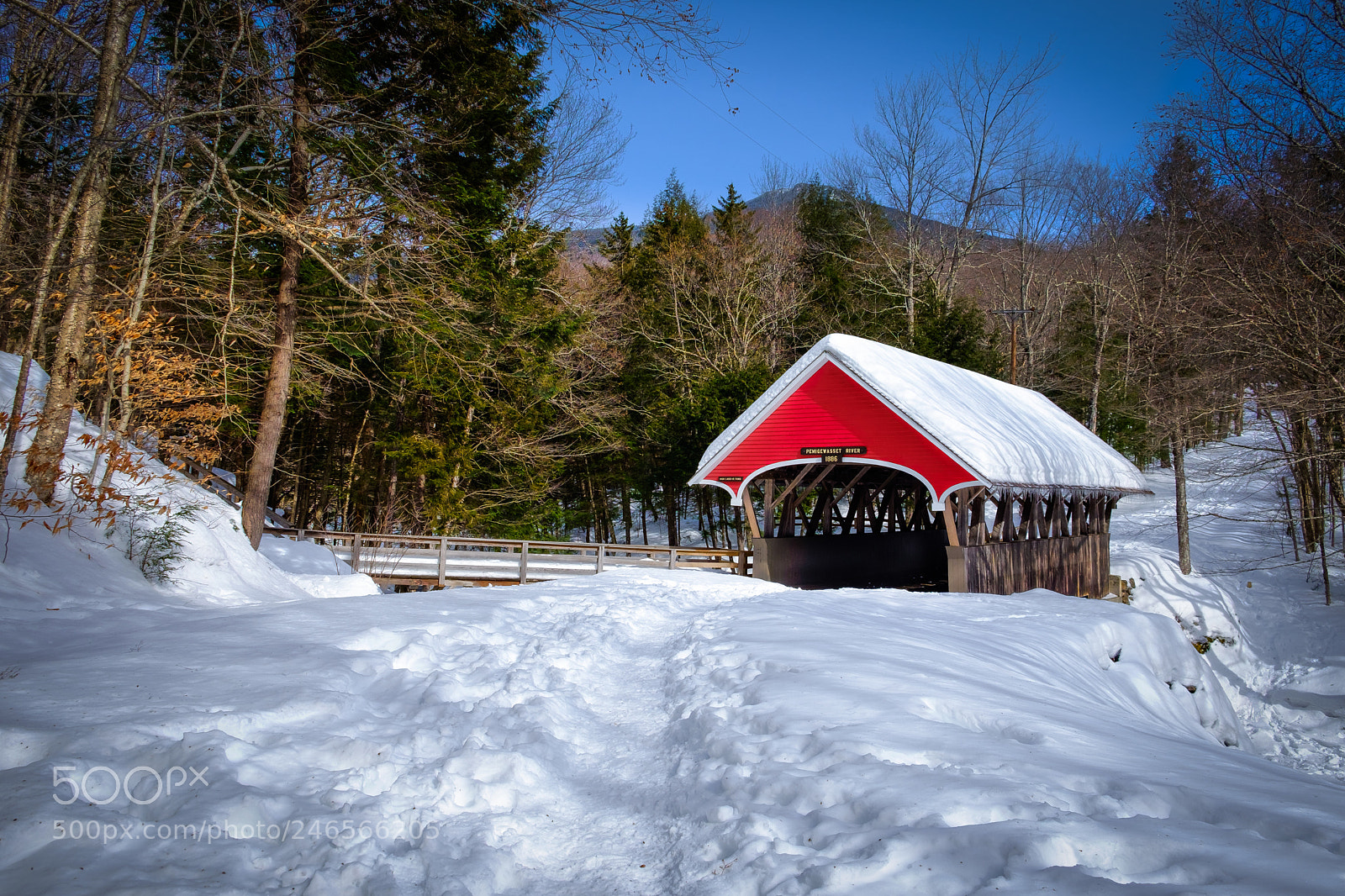 Fujifilm X-T10 sample photo. Flume bridge photography