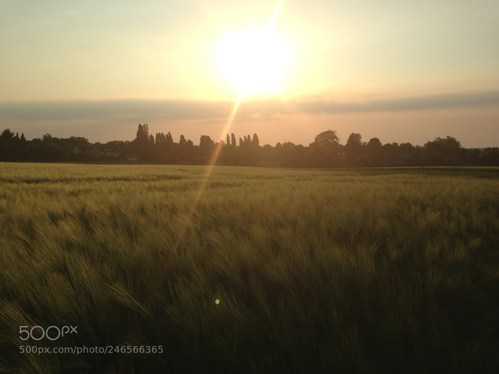 Apple iPhone 5 sample photo. Sunset at ruhr area photography