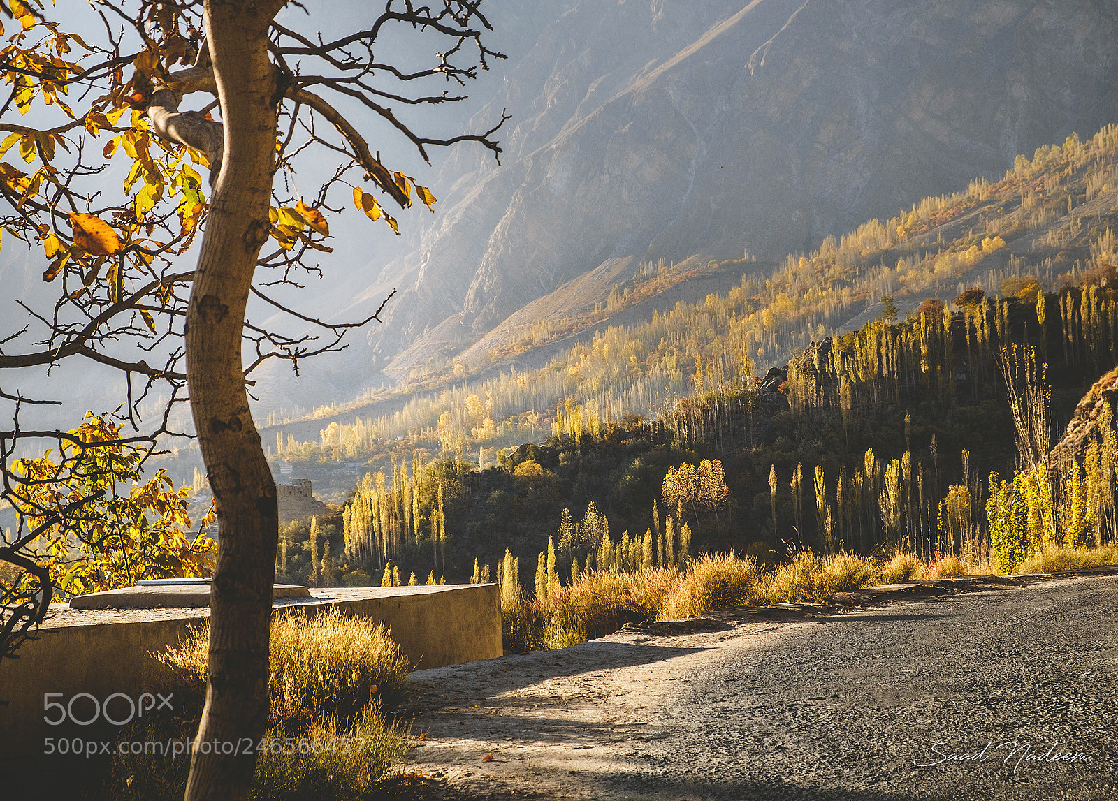 Fujifilm X-T10 sample photo. Somewhere on the way photography
