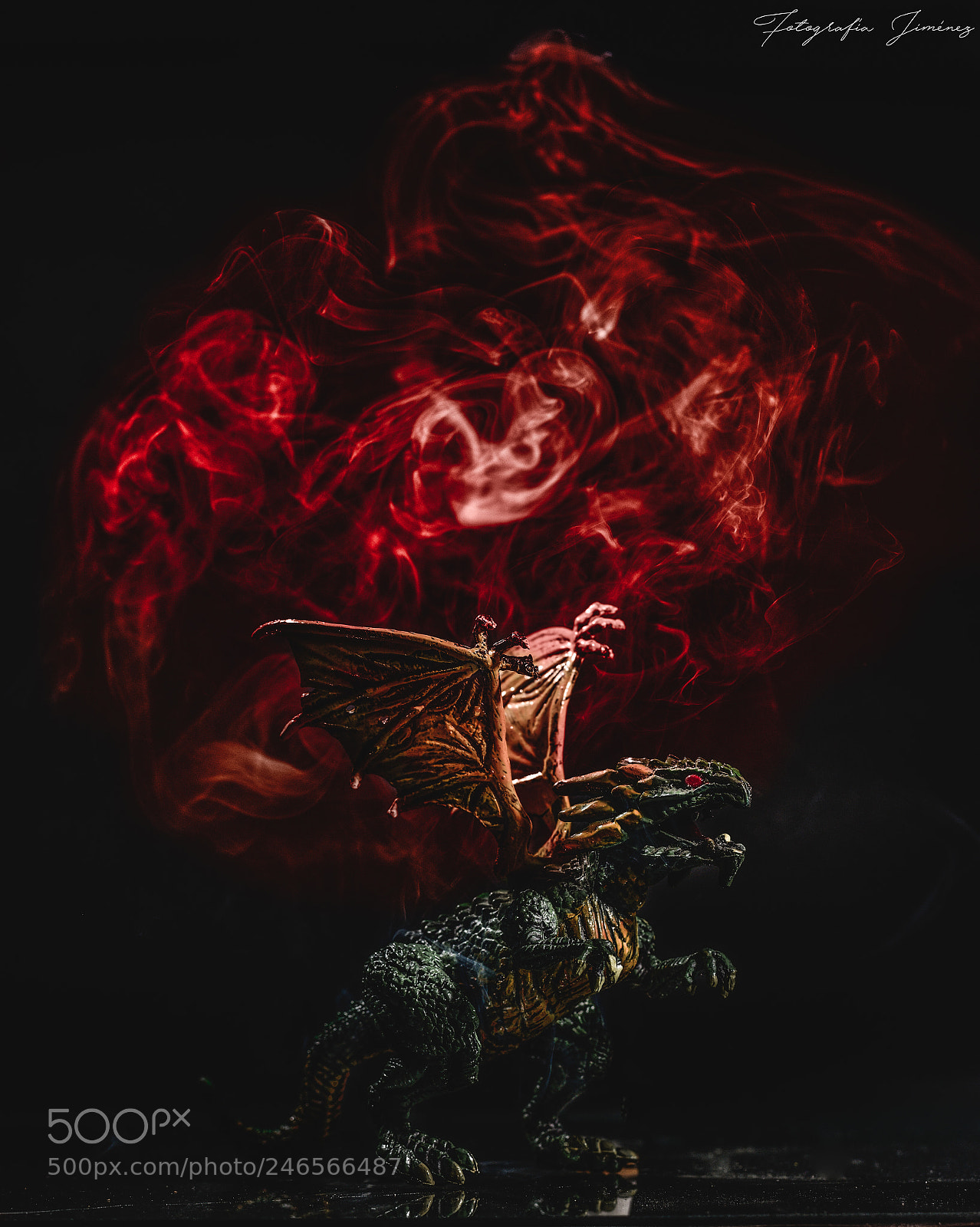 Nikon D7200 sample photo. Dragon de fuego photography