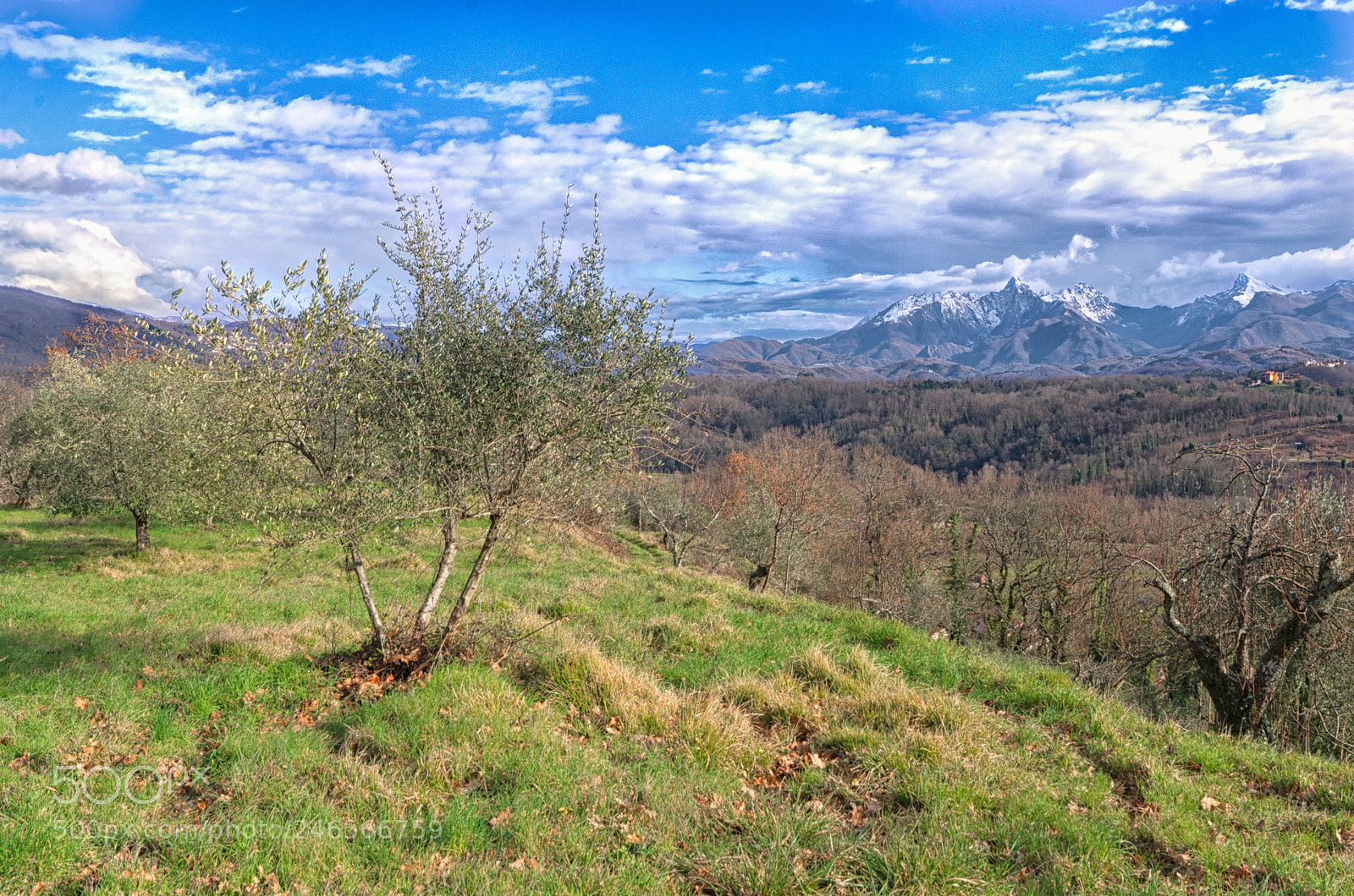 Pentax K-5 sample photo. Lunigiana, tuscany , italy photography