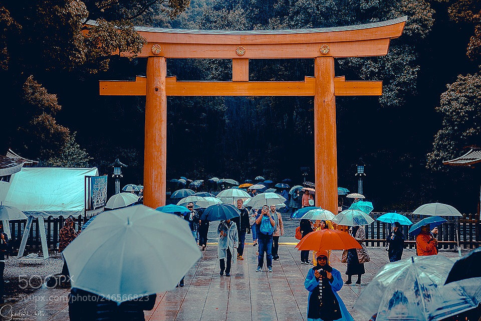 Canon EOS 5DS R sample photo. “tori gate” ©2018 photography