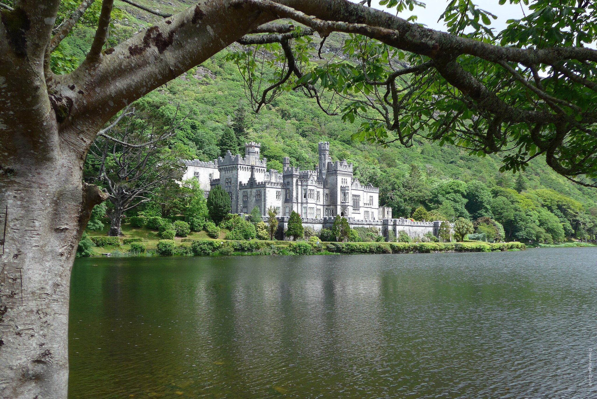 Panasonic Lumix DMC-LF1 sample photo. Kylemore castle, connemara, ireland photography