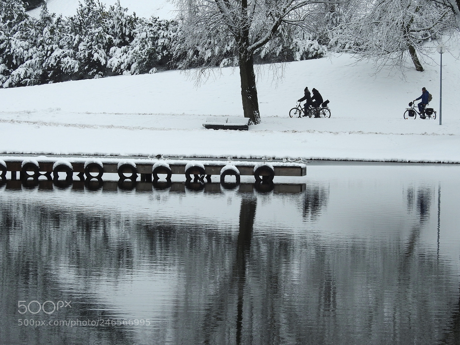 Nikon Coolpix P900 sample photo. Riding bikes photography