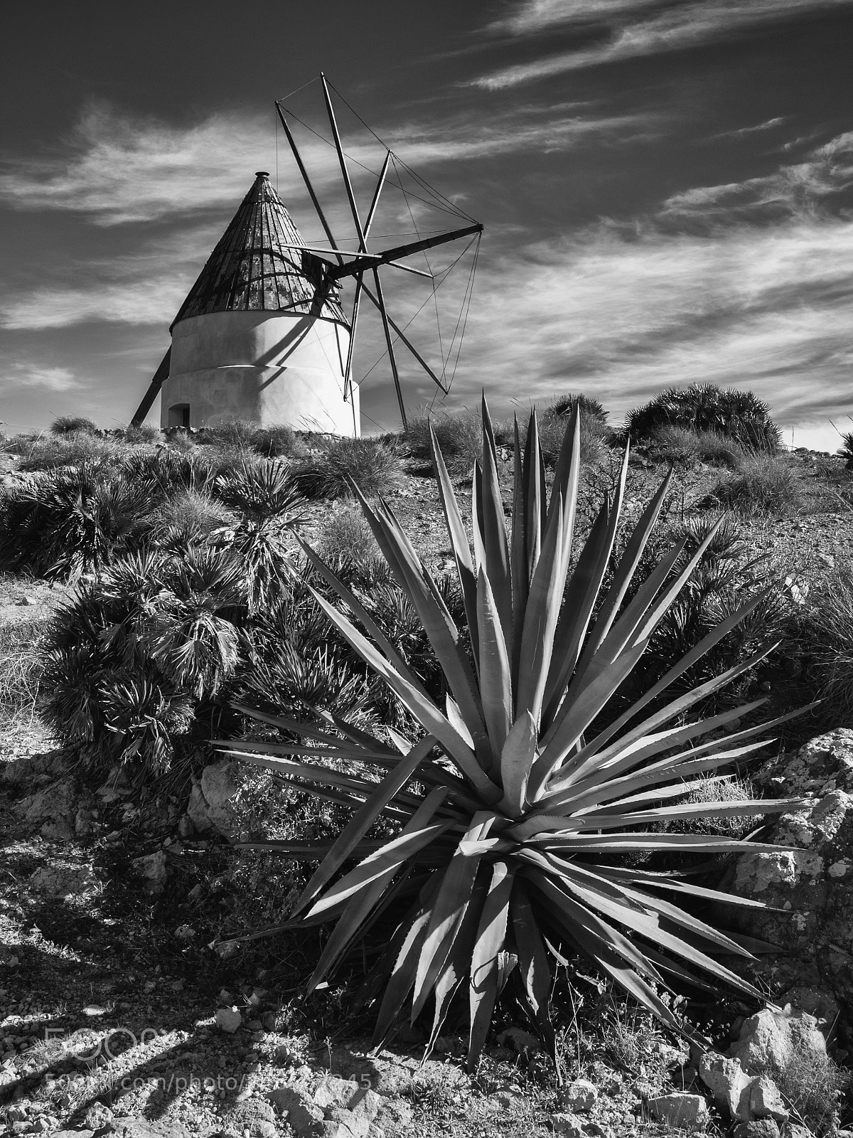 Olympus OM-D E-M1 sample photo. Molino de los genoveses photography
