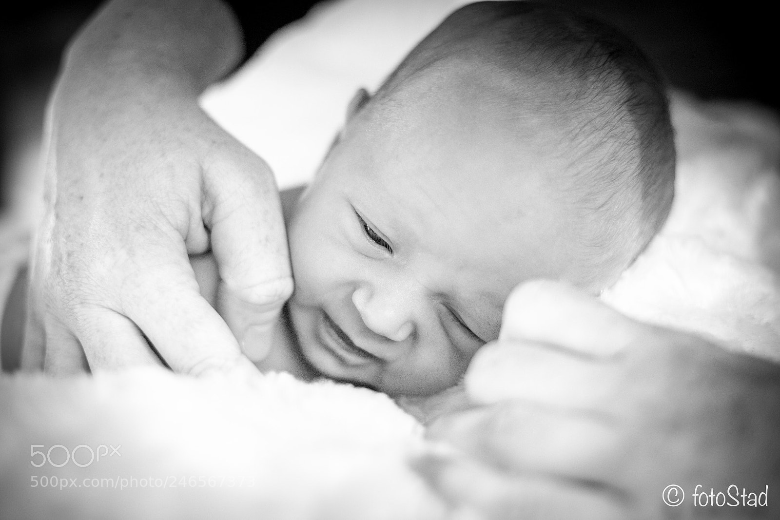 Canon EOS 6D Mark II sample photo. Hands on the little photography