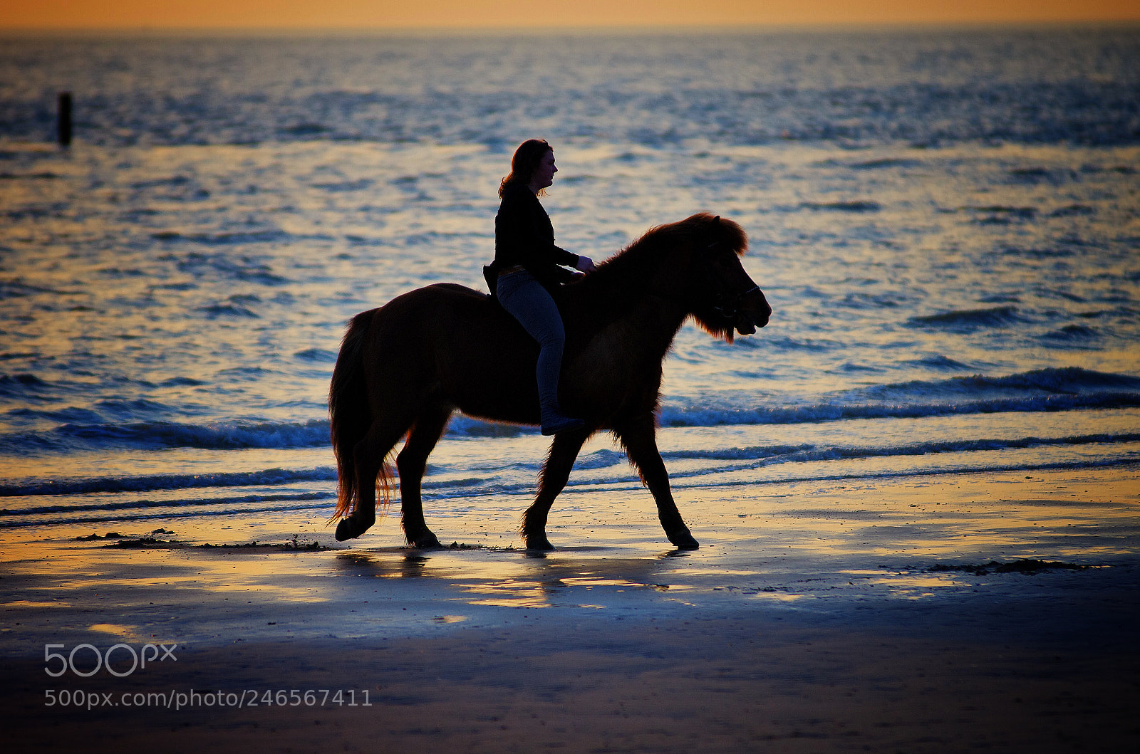 Pentax K-5 II sample photo. Ausritt im sonnenuntergang photography