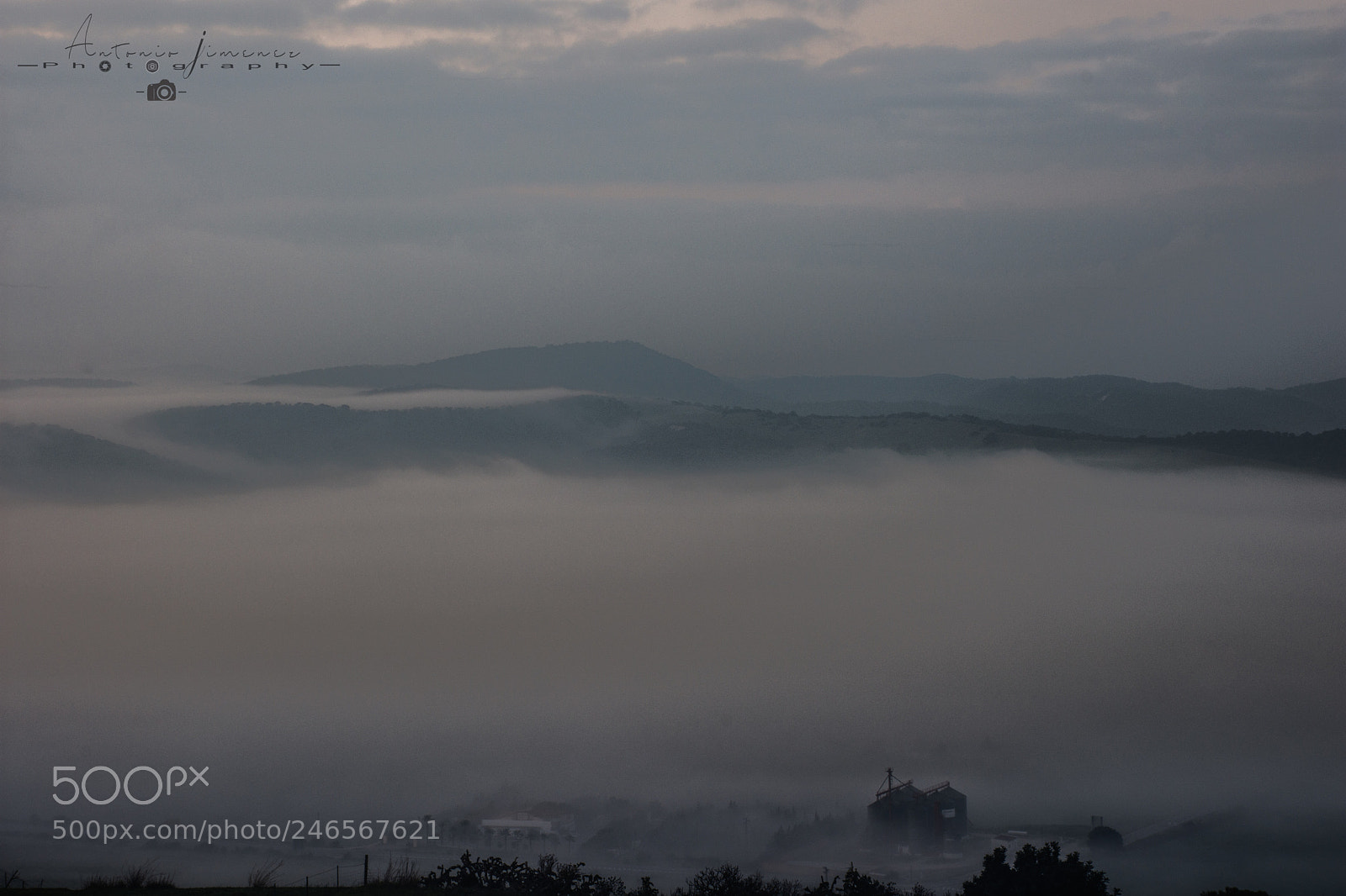 Nikon D7200 sample photo. Amanecer enter niebla photography