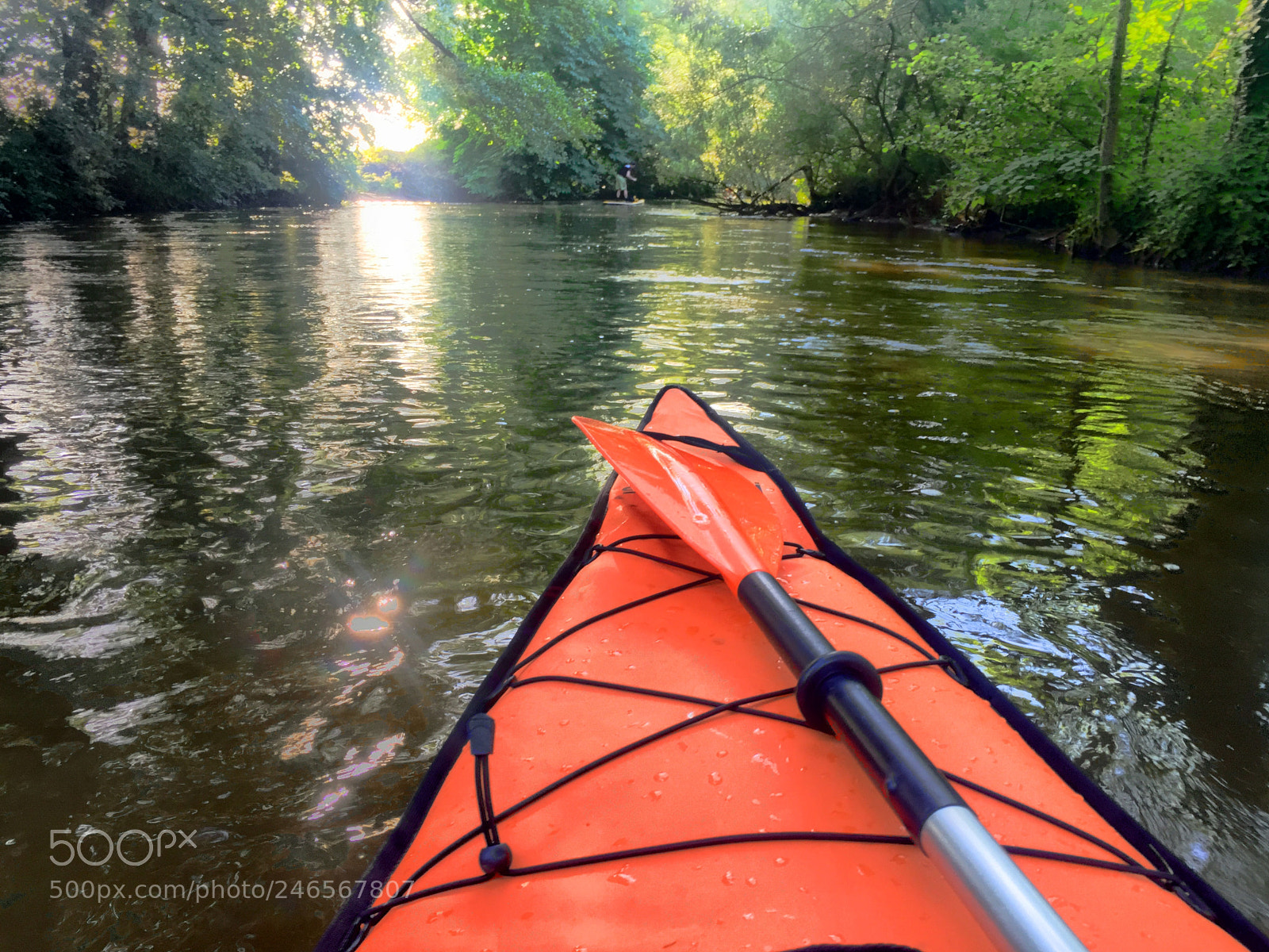 Apple iPhone 6 Plus sample photo. Kayak river sun photography