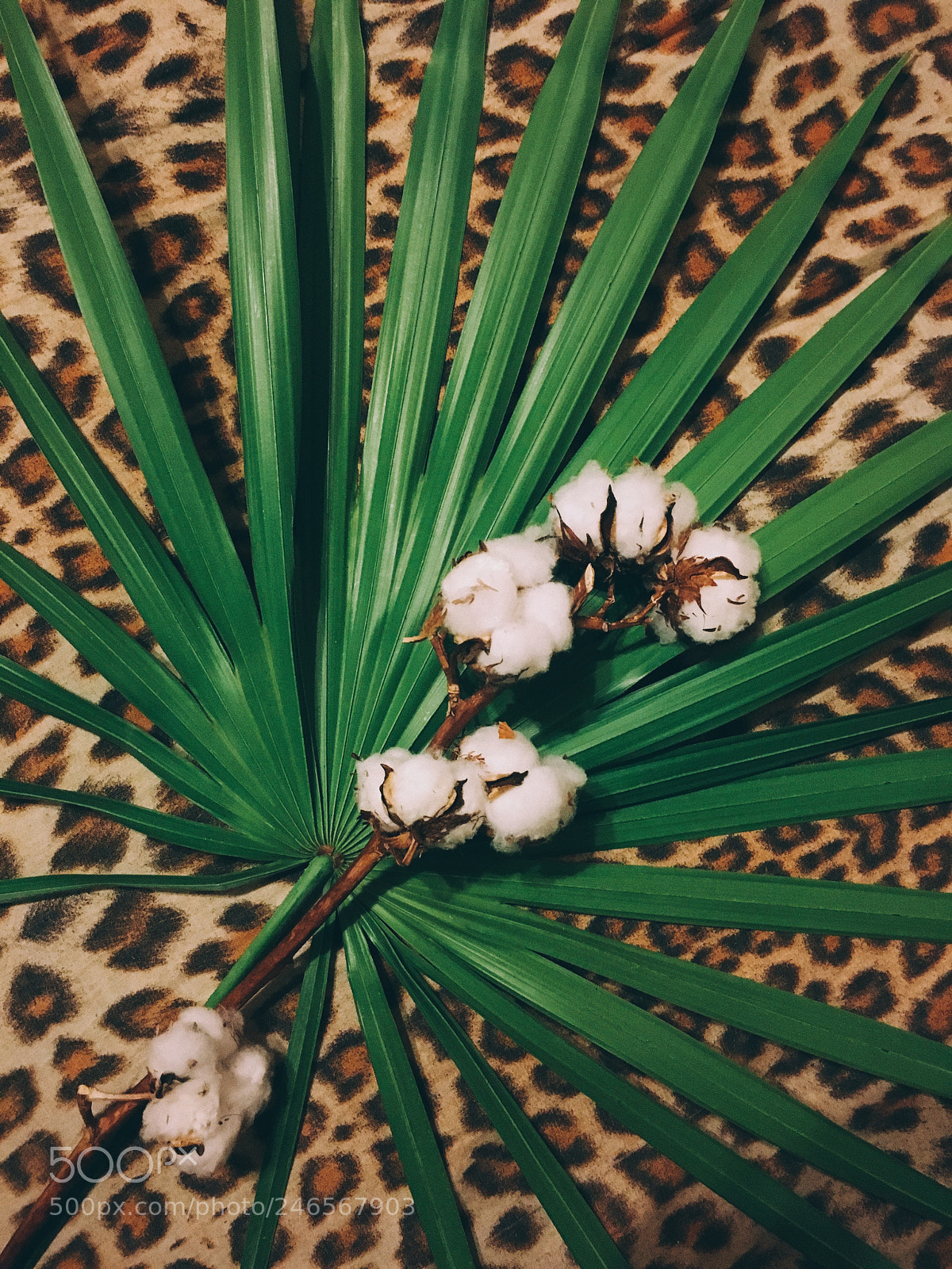 Apple iPhone 6s sample photo. Gang photography