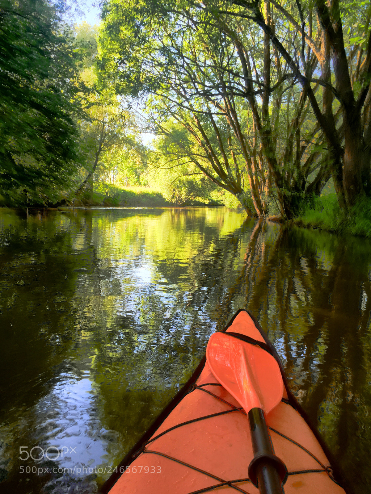 Apple iPhone 6 Plus sample photo. Kayak river sun photography