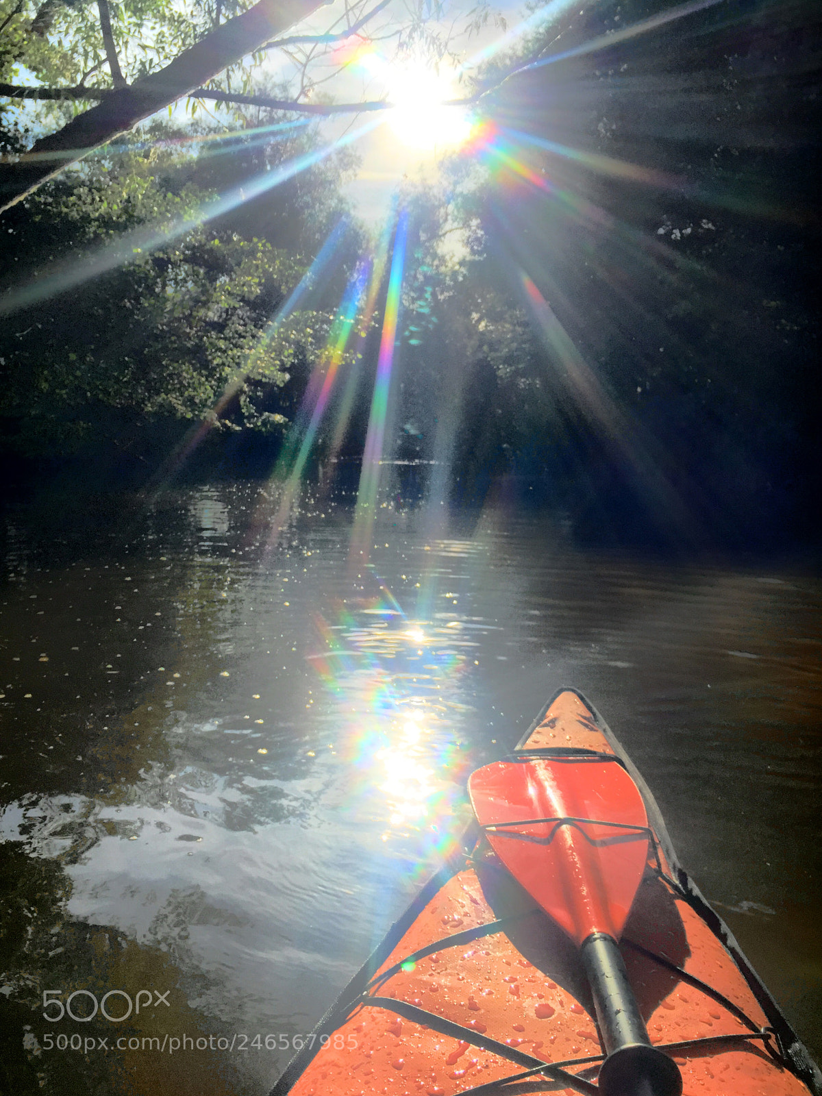 Apple iPhone 6 Plus sample photo. Kayak river sun photography