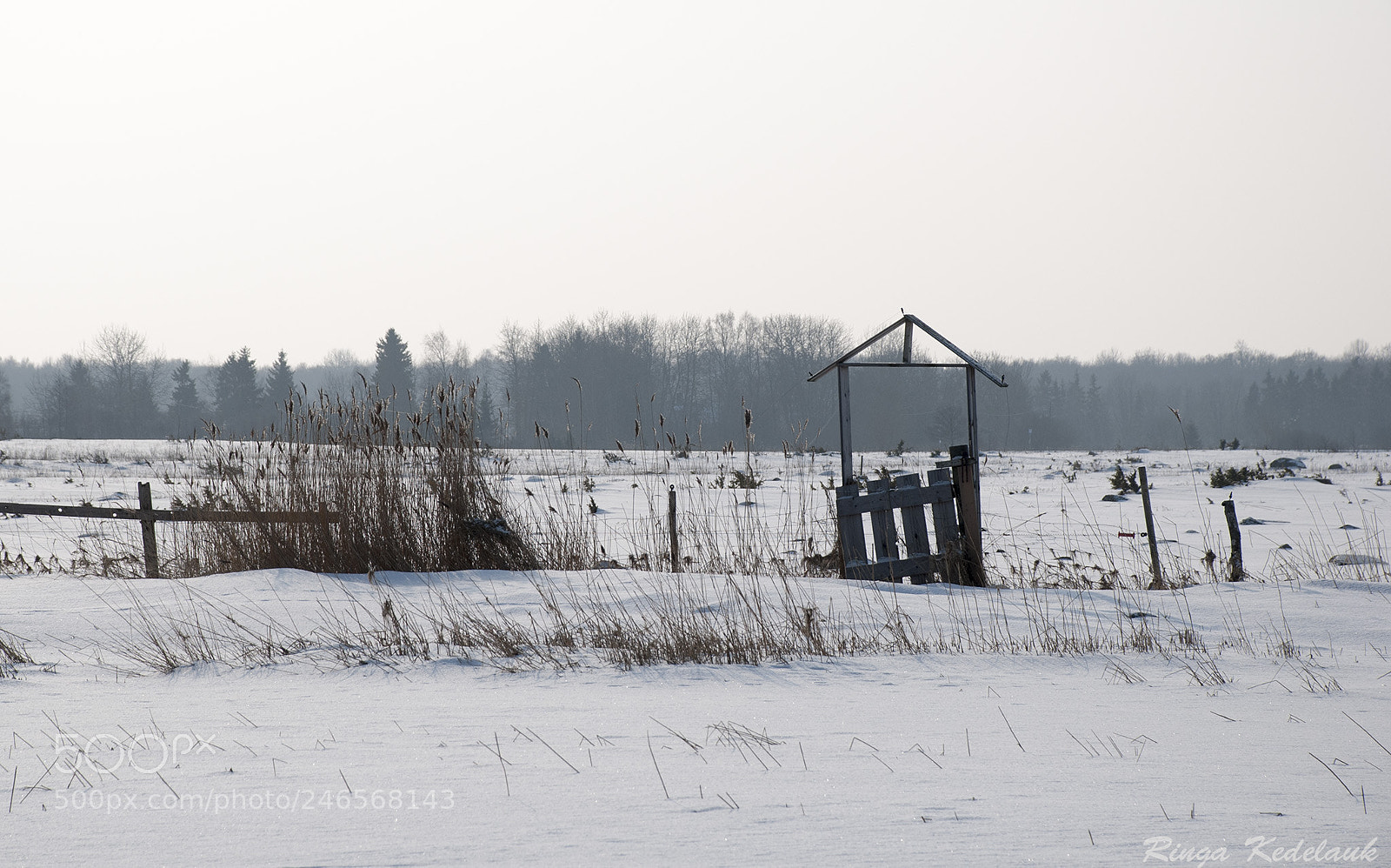 Nikon D80 sample photo. Untitled photography
