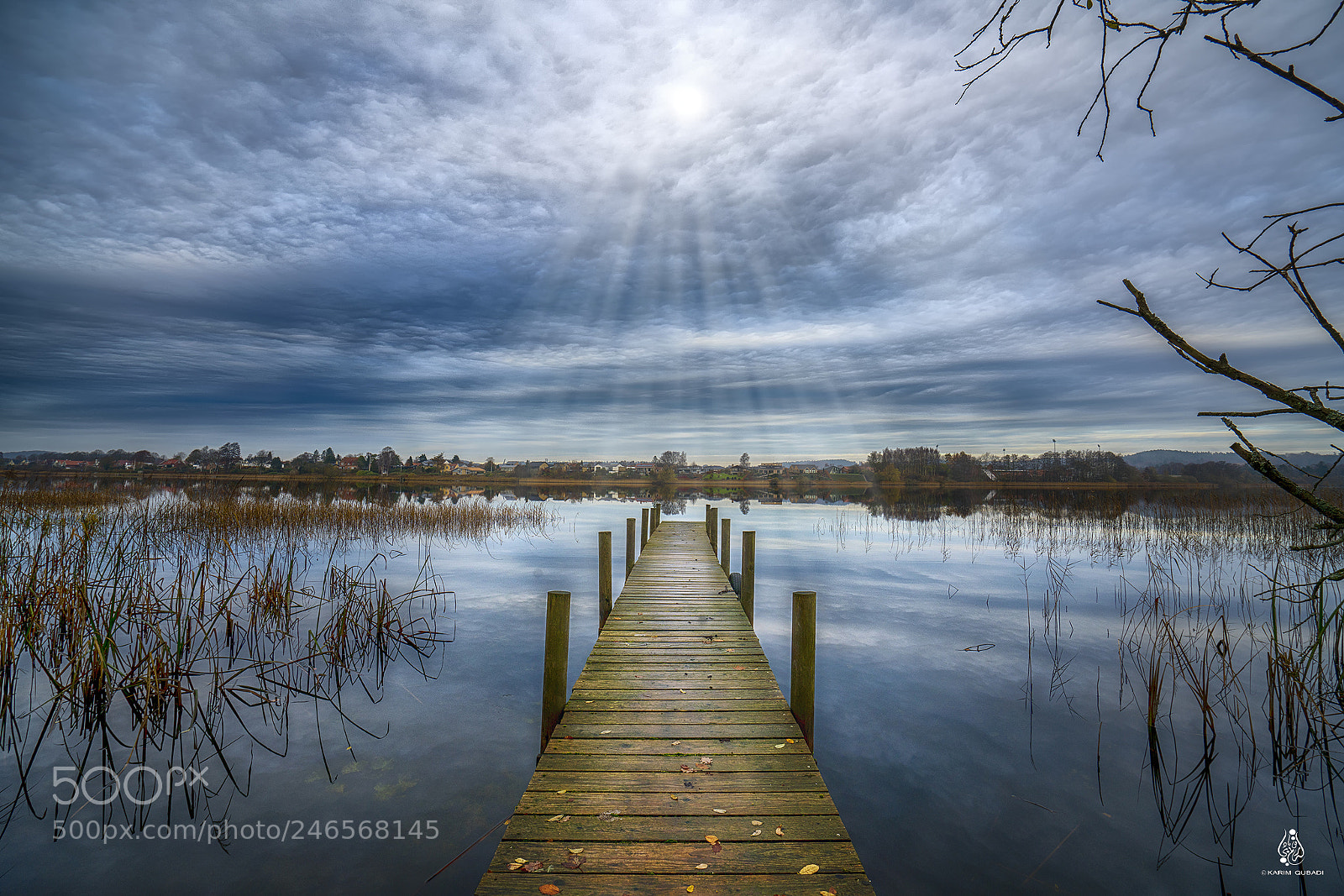 Sony a7R II sample photo. Langsø - silkeborg photography