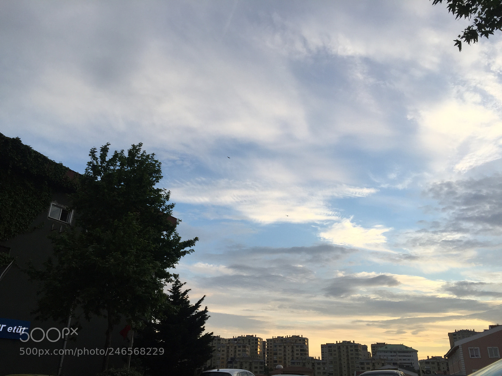 Apple iPhone 6 sample photo. Untitled photography
