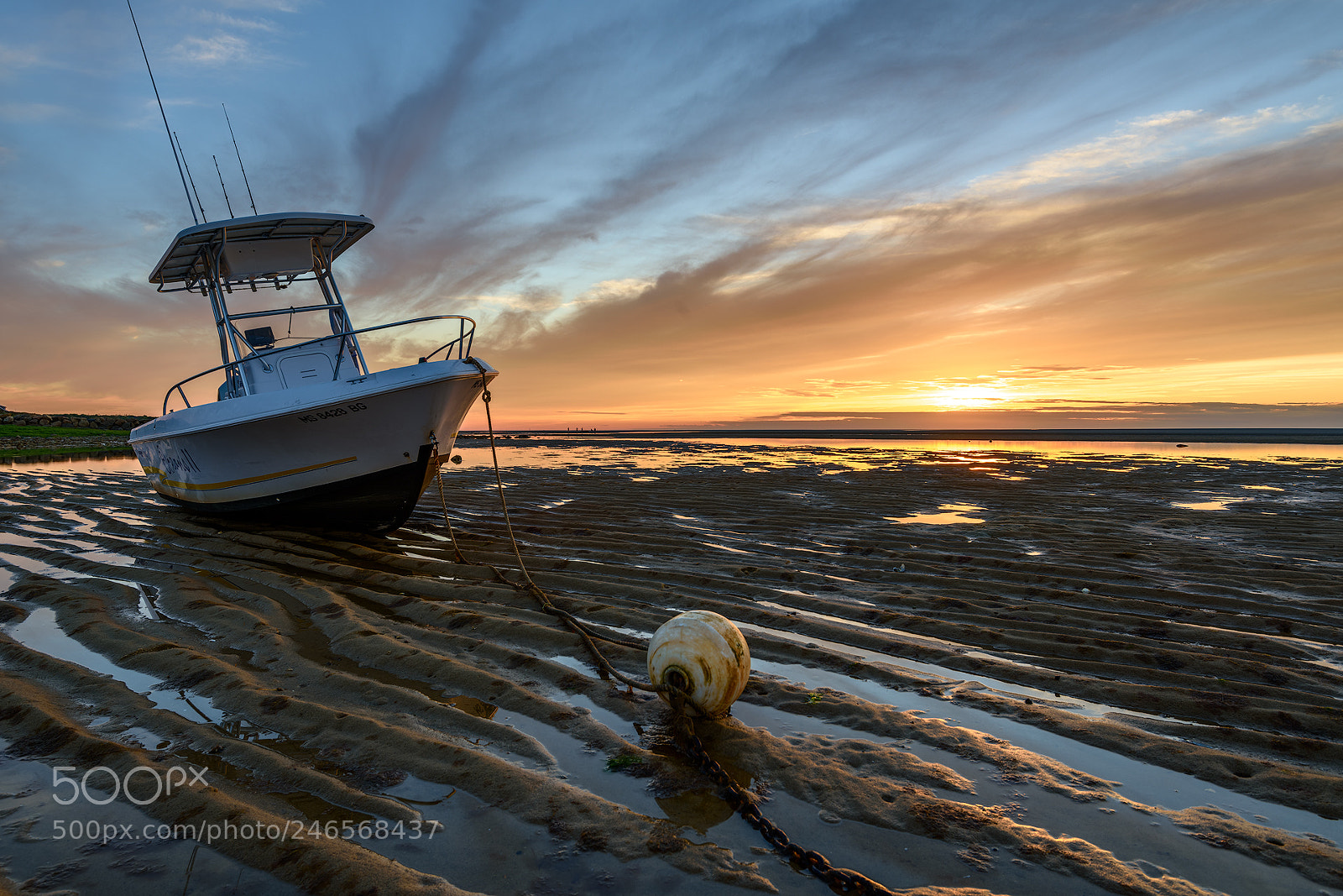 Nikon D810 sample photo. Low tide at sunset photography