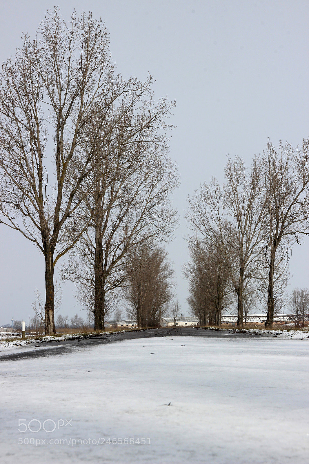 Canon EOS 600D (Rebel EOS T3i / EOS Kiss X5) sample photo. In the border photography