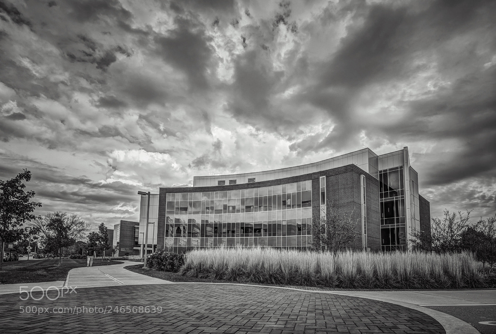 Nikon D5200 sample photo. Purdue university photography