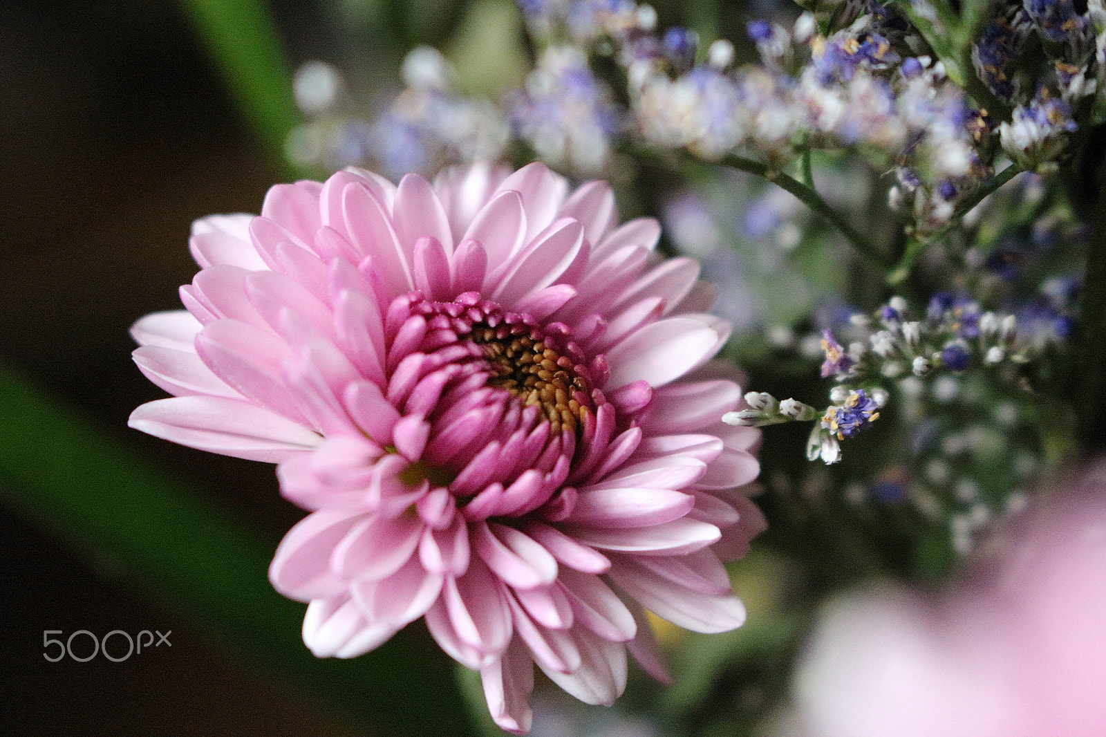 Canon EOS 100D (EOS Rebel SL1 / EOS Kiss X7) sample photo. Little smile 2 photography