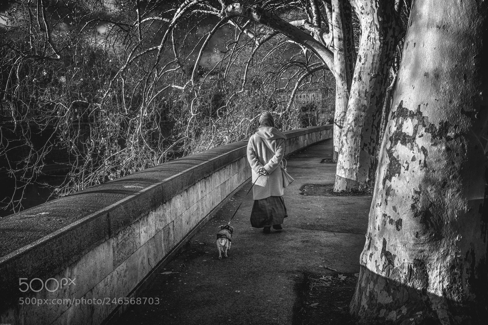 Nikon D810 sample photo. Promenade du soir photography