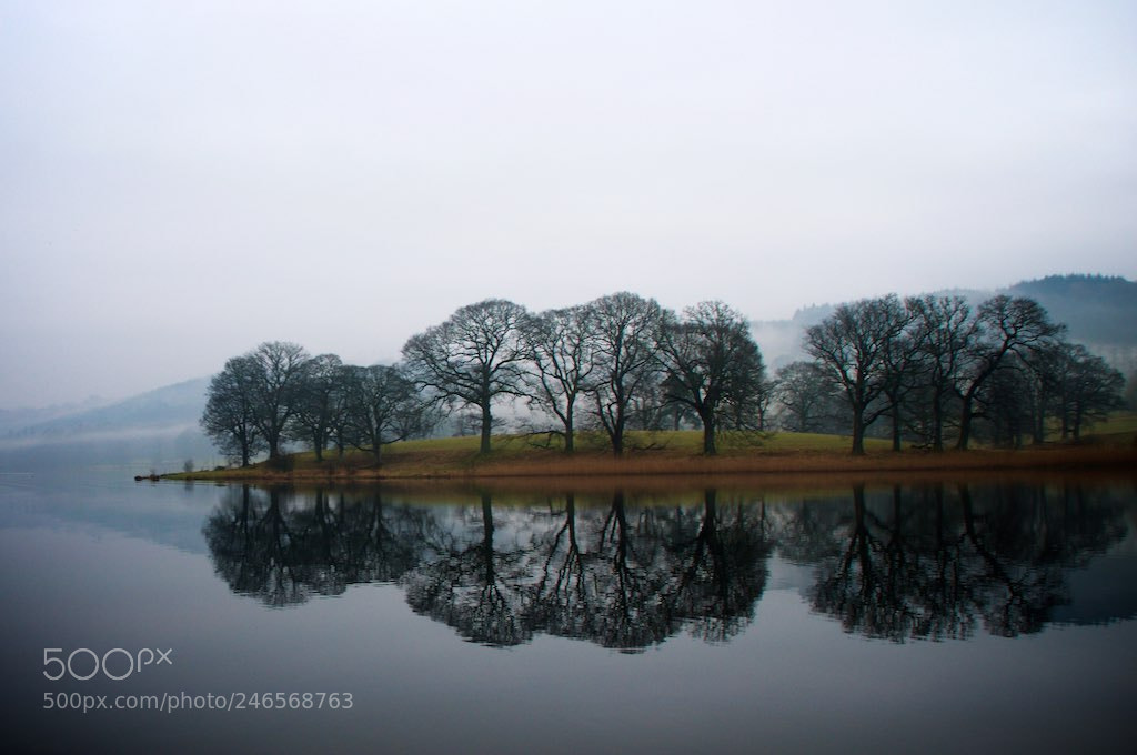 Nikon D90 sample photo. Misty morning photography