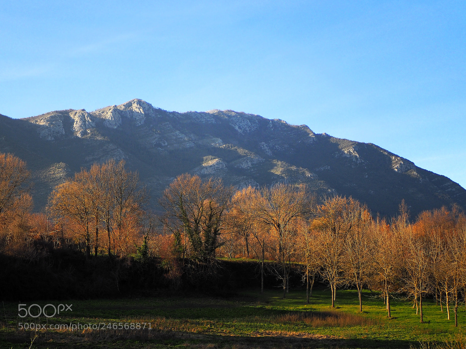 Olympus OM-D E-M10 II sample photo. Winter landscape photography