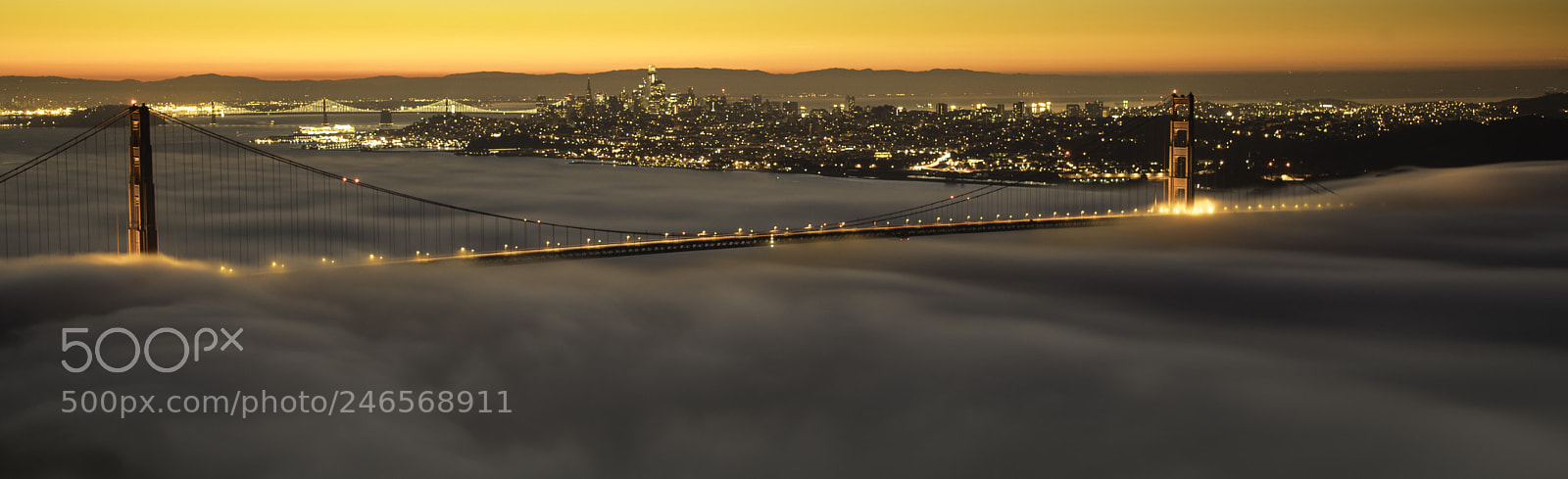 Nikon D850 sample photo. Ggb fog photography