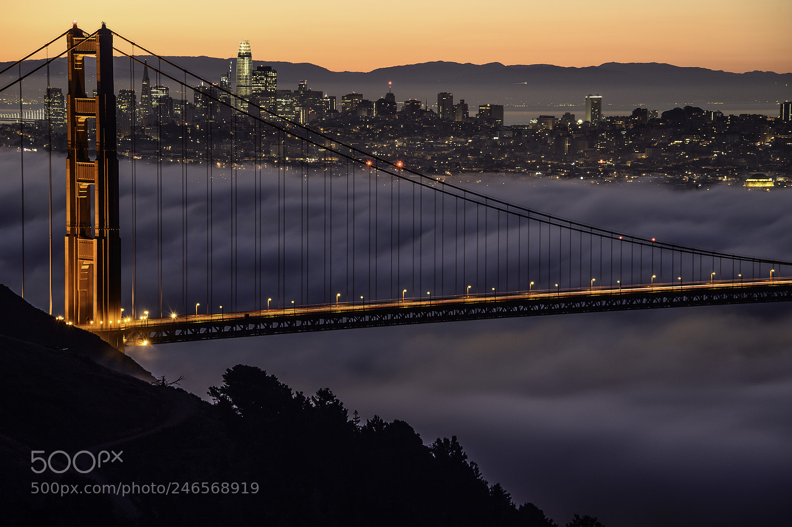 Nikon D4S sample photo. Ggb fog photography