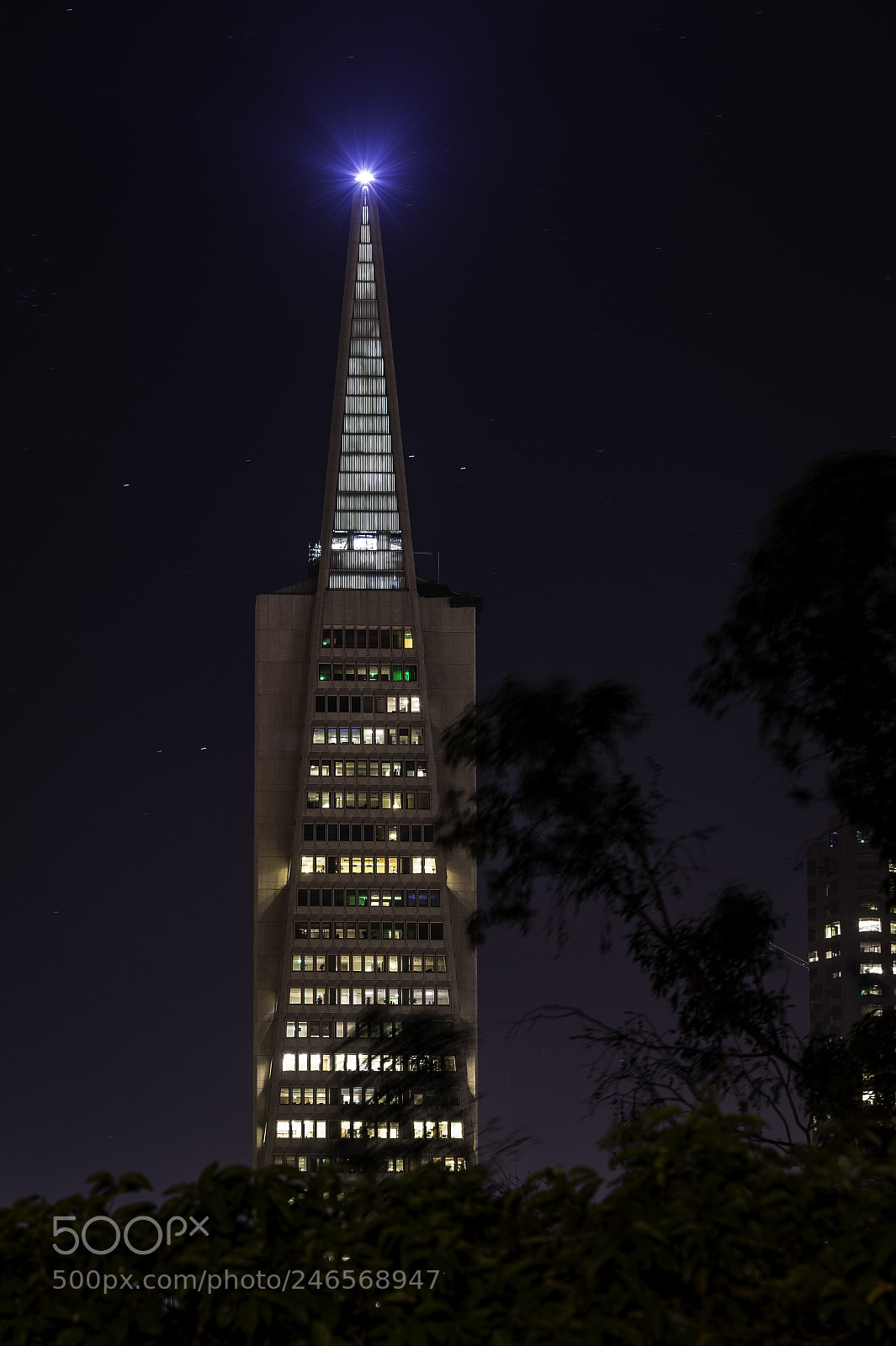 Nikon D4S sample photo. Transamerica pyramid photography