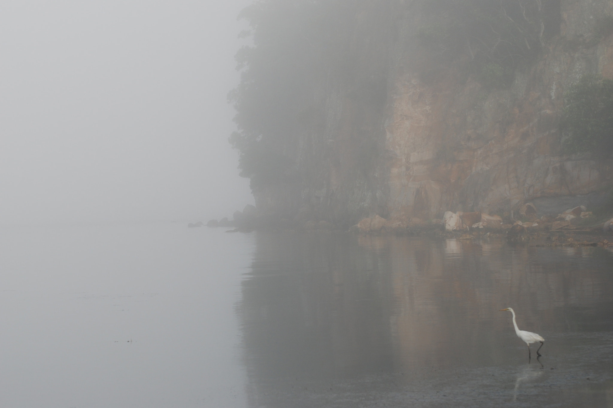 Nikon D80 sample photo. Into the mist photography