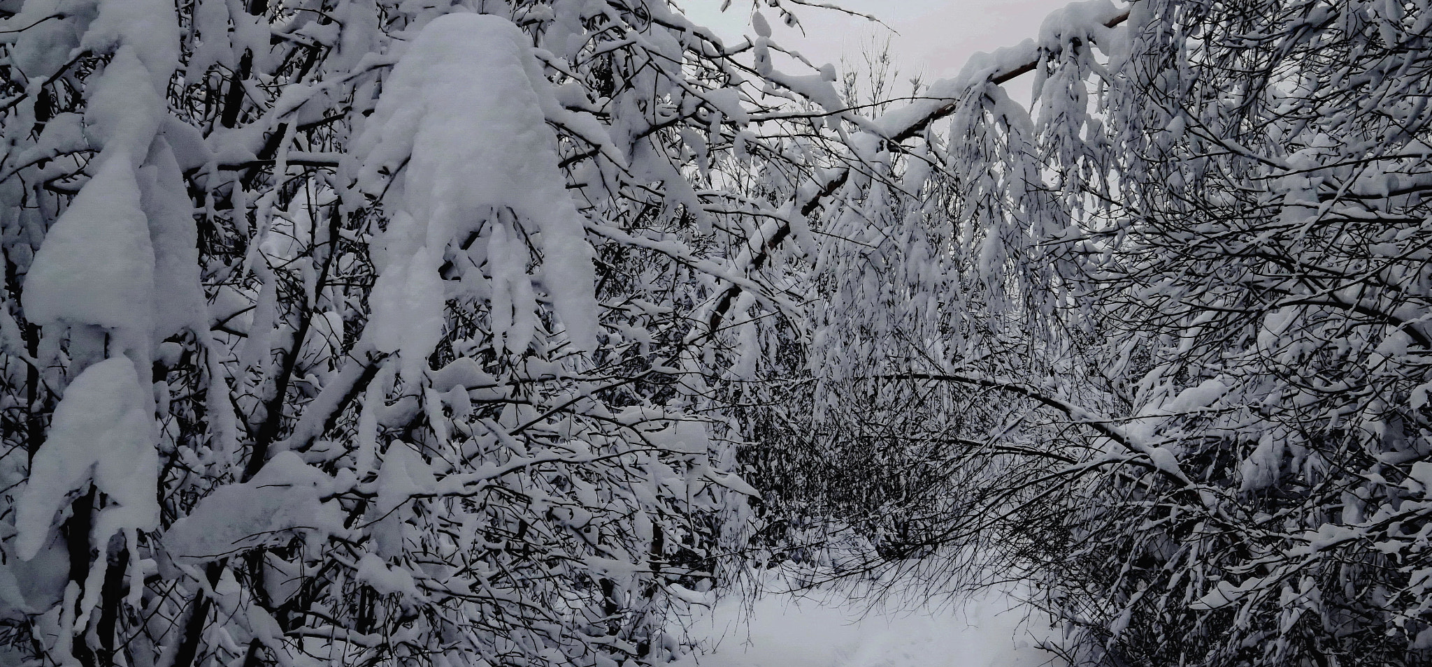 Canon EOS sample photo. Frozen day photography