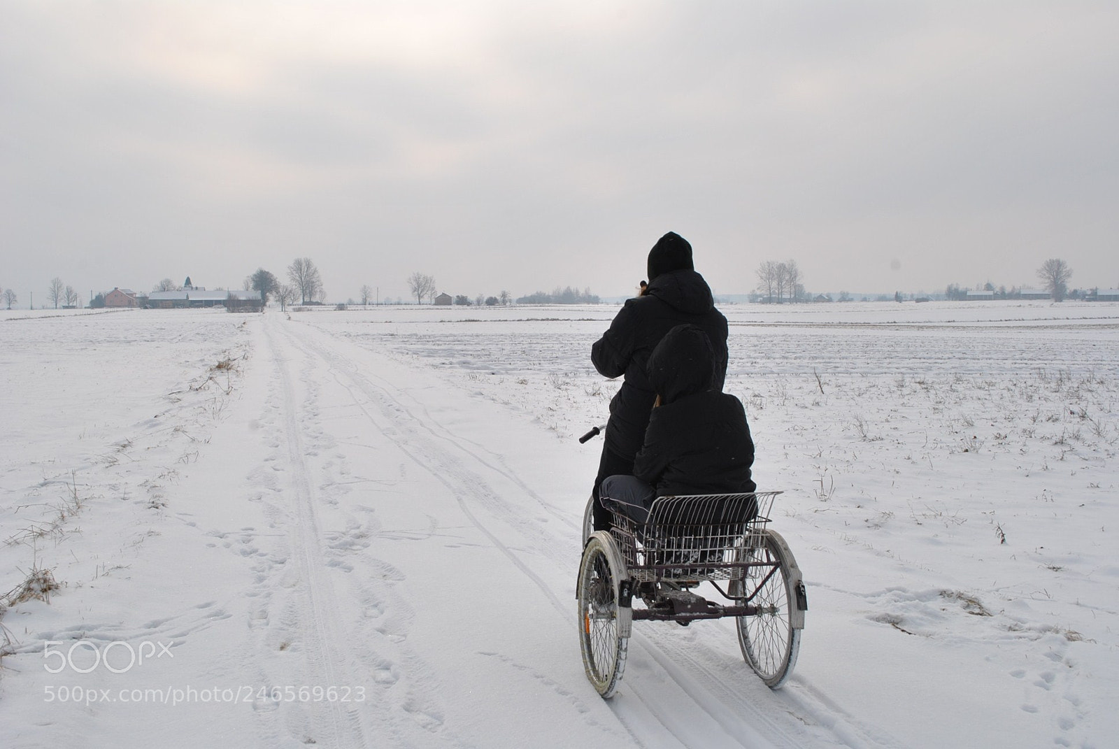 Nikon D3000 sample photo. On the road photography