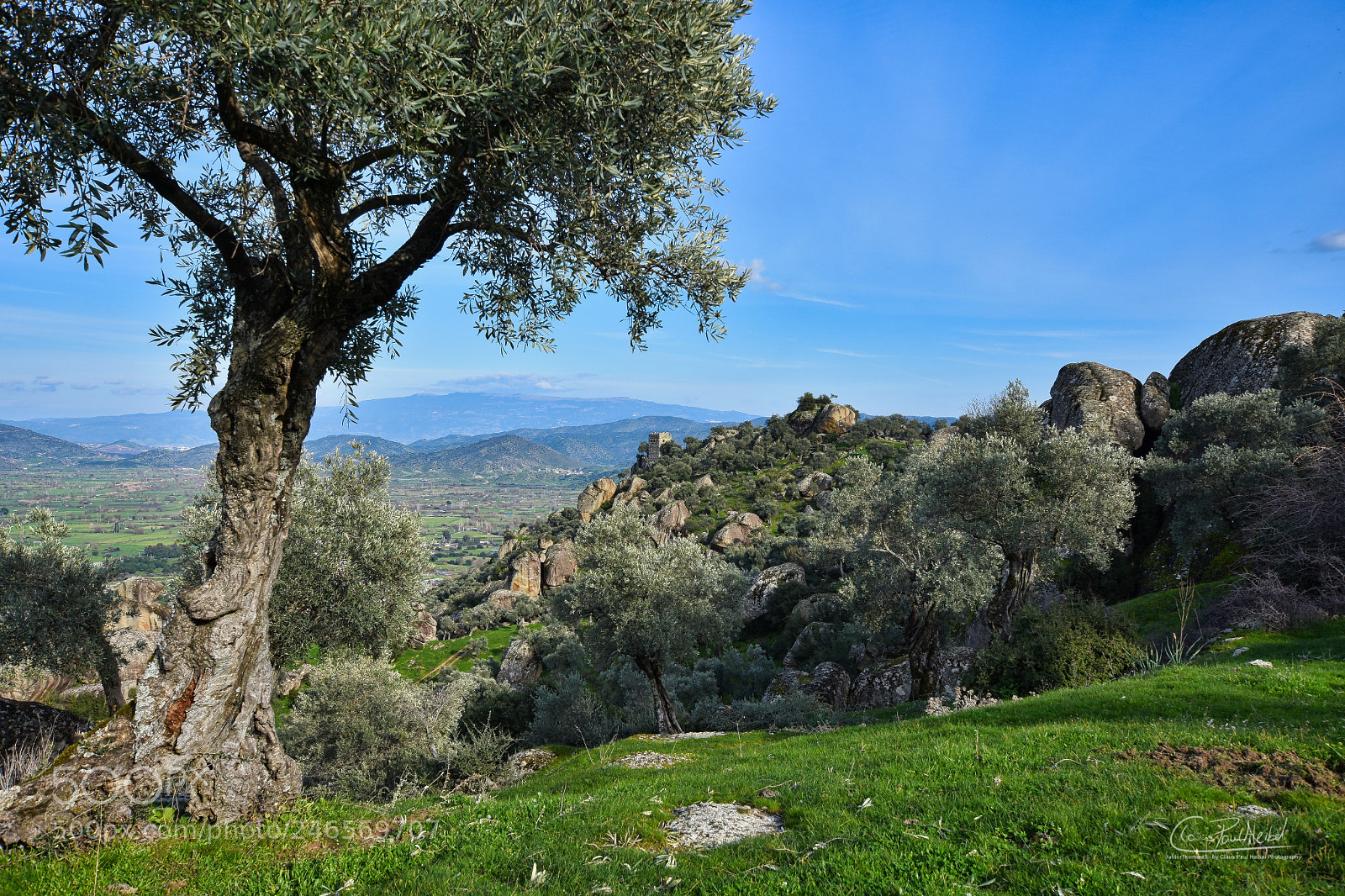 Nikon D7200 sample photo. Alinda (karpuzlu) photography