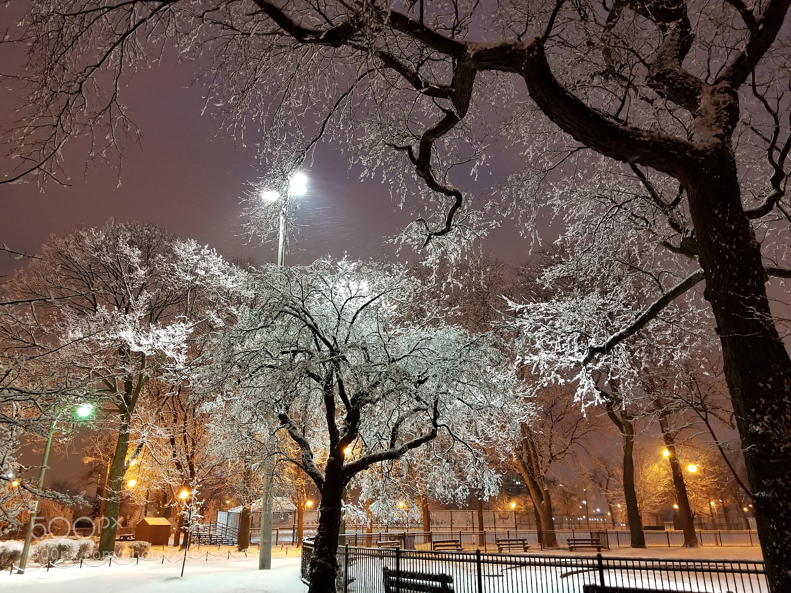 Samsung Galaxy S8 sample photo. Armour park saturday night photography
