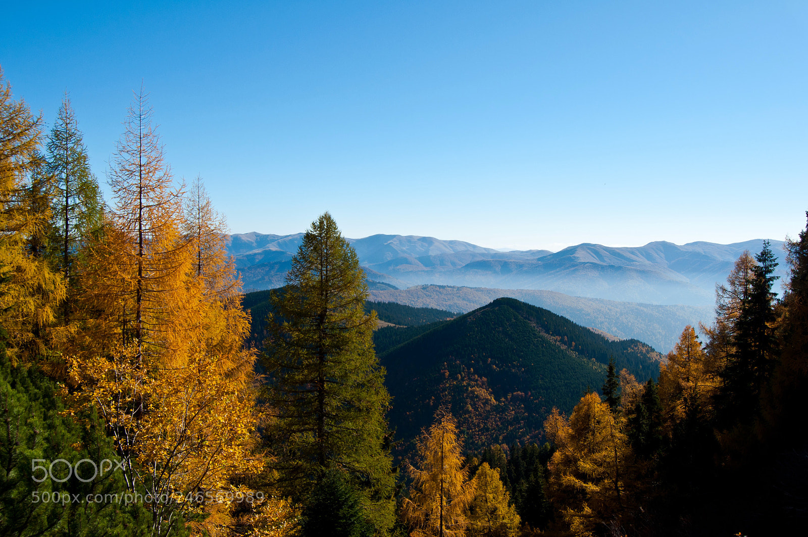 Nikon D90 sample photo. Autumn in the bucegi photography