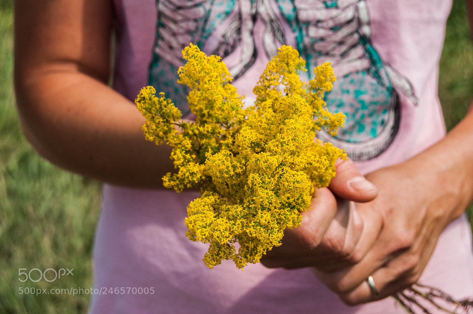 Nikon D90 sample photo. Midsummer flowers photography