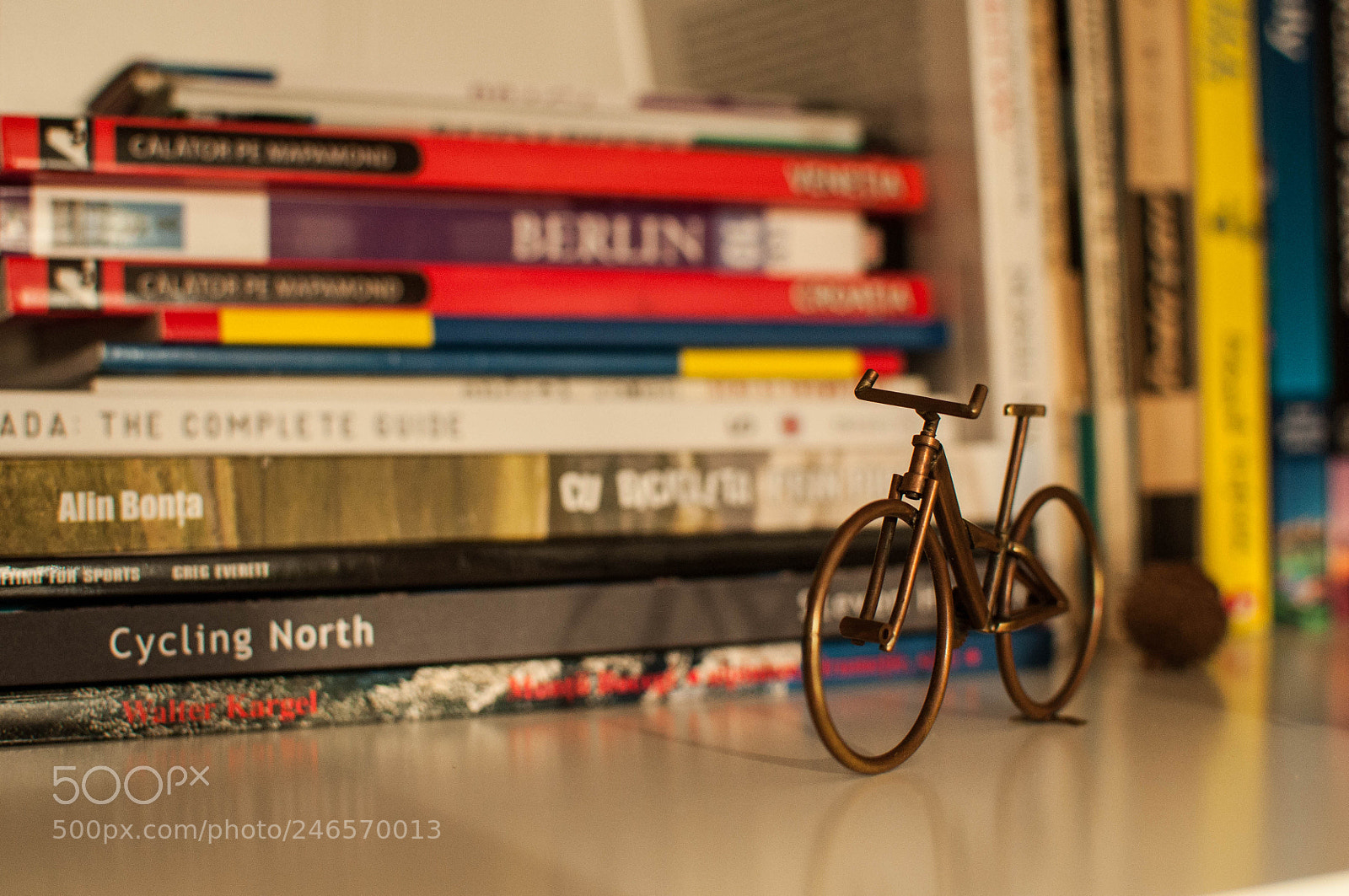 Nikon D90 sample photo. Bicycle traveler's book shelf photography