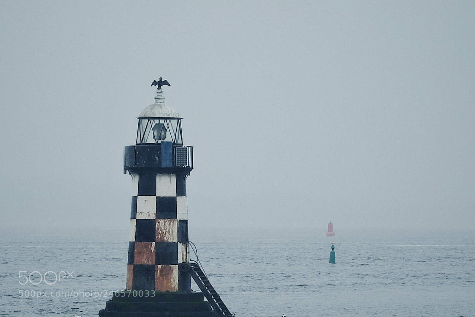 Fujifilm X30 sample photo. Bird photography