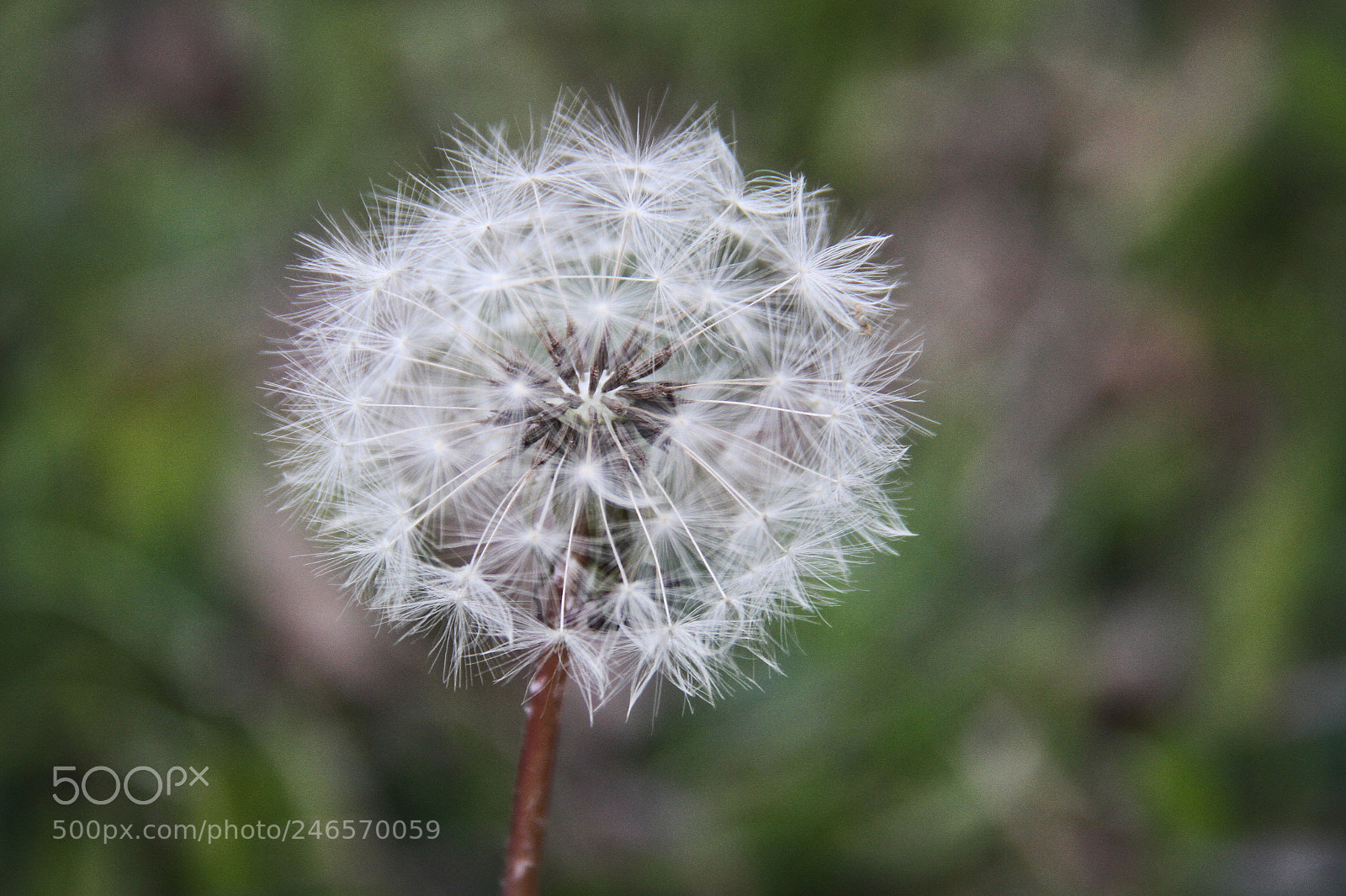 Canon EOS 7D sample photo. Untitled photography