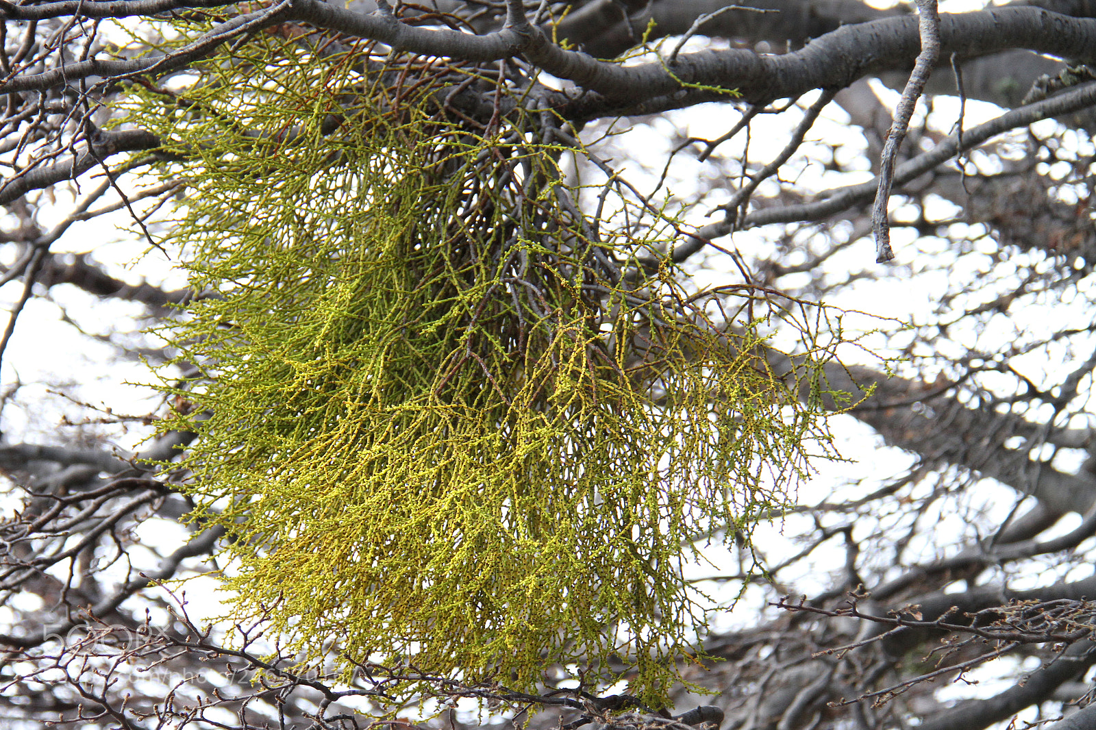 Canon EOS 7D sample photo. Img photography
