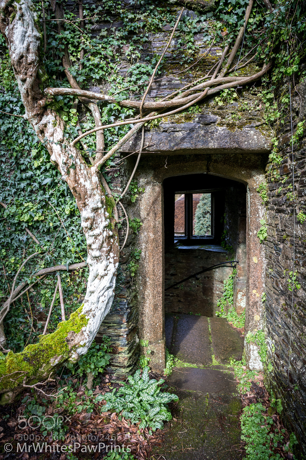 Nikon D7100 sample photo. Folly at the garden photography