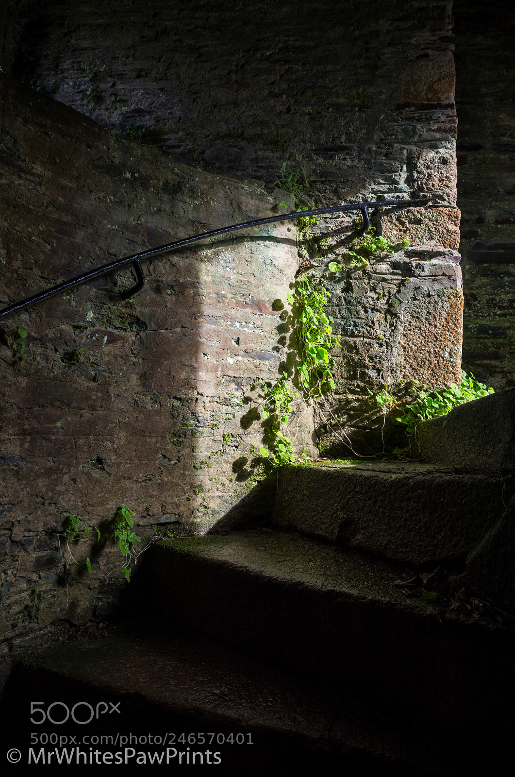 Nikon D7100 sample photo. Folly at the garden photography