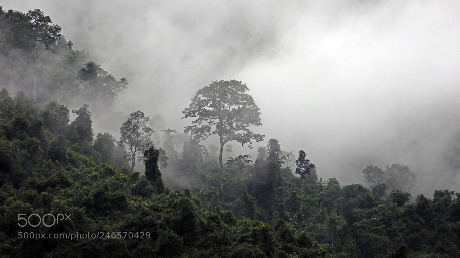 Canon EOS M6 sample photo. Misty muang ngoi neua photography