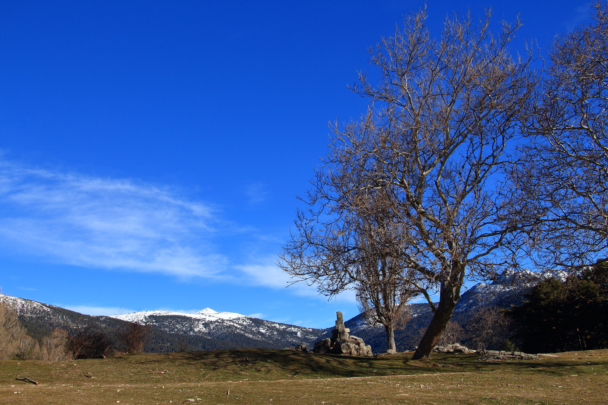 Canon EOS 700D (EOS Rebel T5i / EOS Kiss X7i) sample photo. Al fondo monton de trigo photography