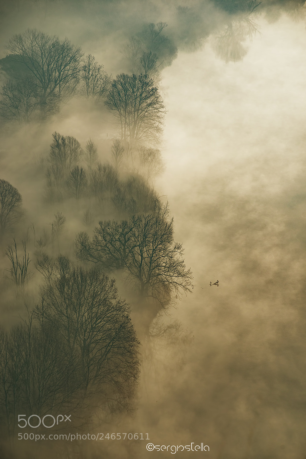 Nikon D610 sample photo. Riding the fog on photography