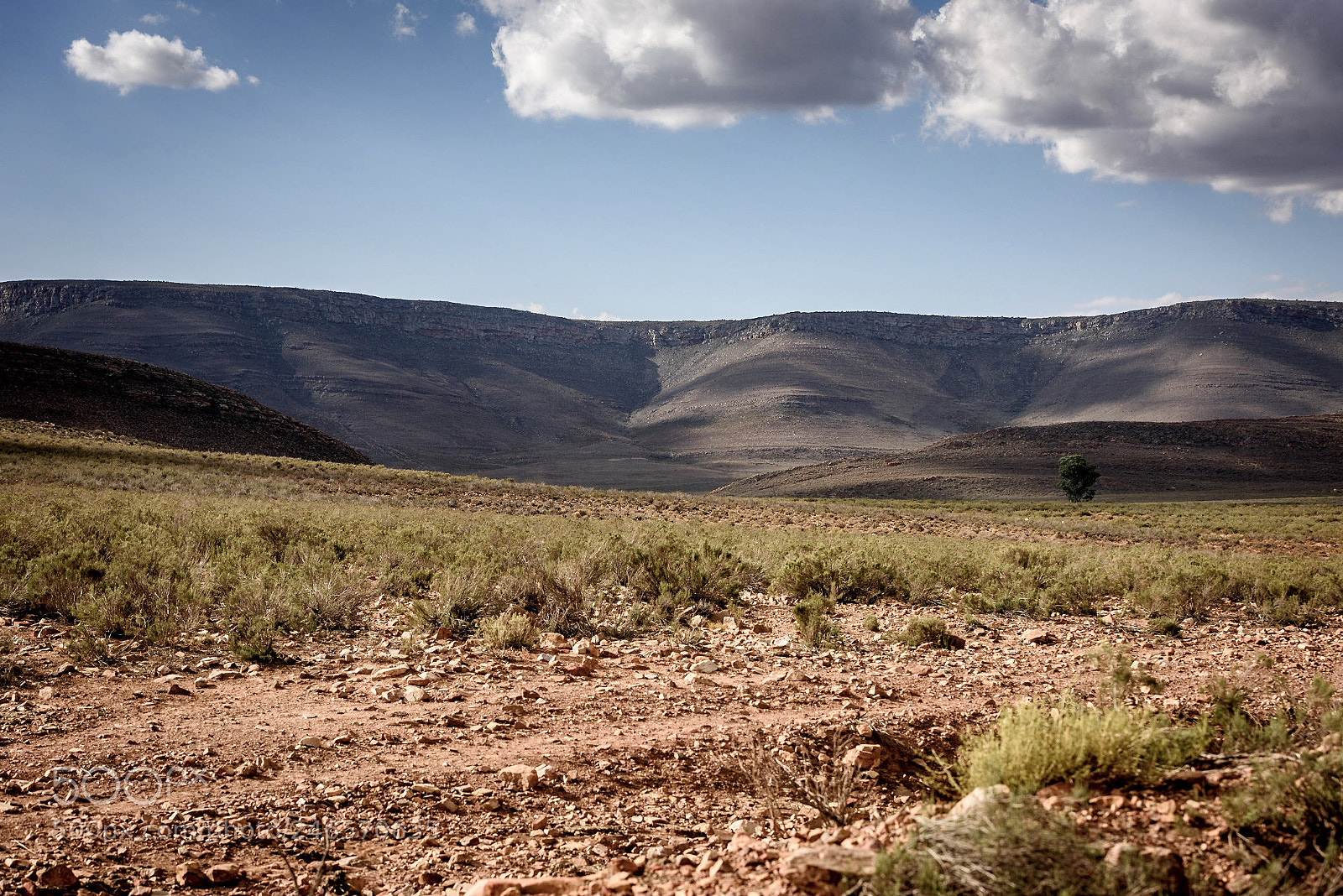 Nikon D810 sample photo. Moments in southafrica photography