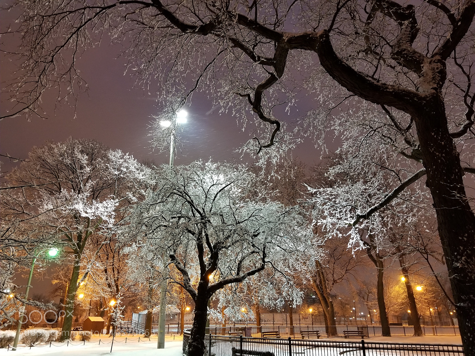 Samsung Galaxy S8 sample photo. Fresh snowfall armour park photography