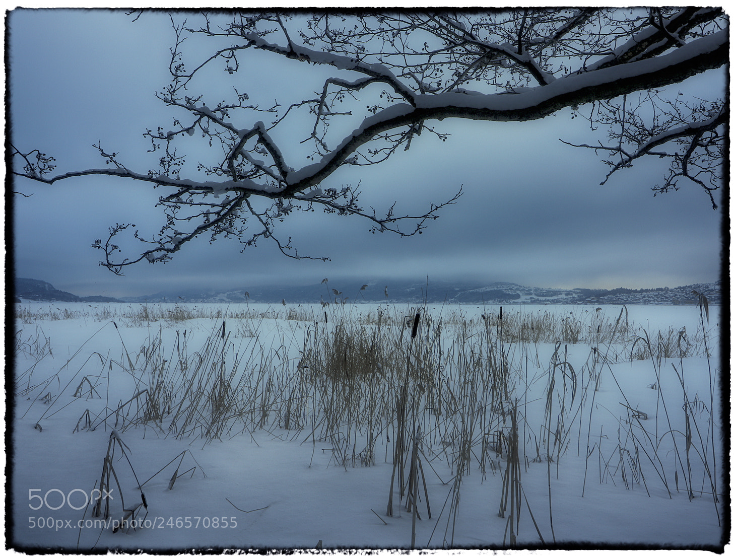 Canon EOS 7D Mark II sample photo. Gulhaug photography