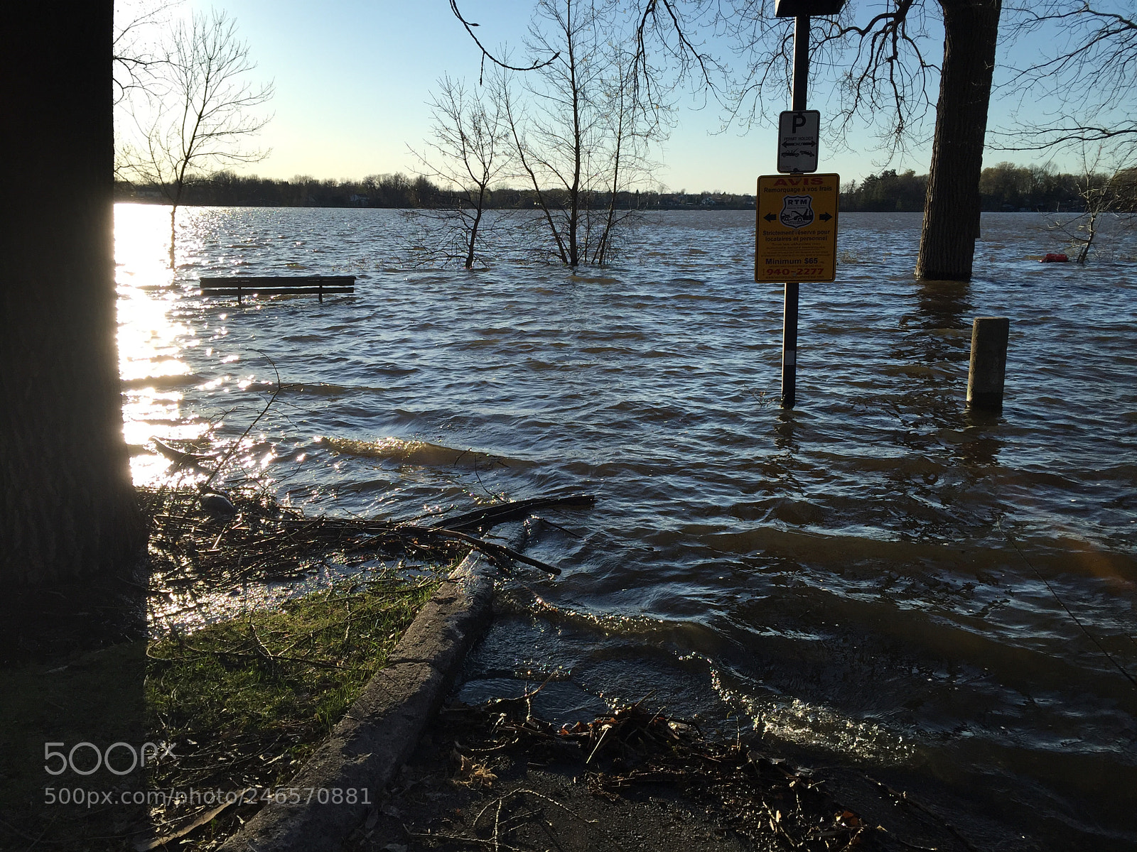 Apple iPhone 6 sample photo. Flood photography